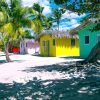 Punta Cana or La Romana: Catalina Island Tour and Snorkeling - Image 3