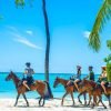 Swim Horse fom Punta Cana - immagine 3
