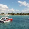The Catalina Island Experience - immagine 12