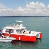 The Catalina Island Experience - immagine 13