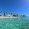 The Catalina Island Experience - immagine 15