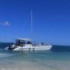 Small-Group Cruising and Snorkeling Catamaran Tour - immagine 2