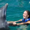 Swim with Dolphins in Punta Cana - immagine 3