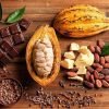 Punta Cana: Higuey, Coffee and Cocoa Tasting Tour with Lunch – Image 5