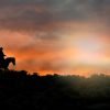 Punta Cana: Sunset Horseback Ride in Macao Beach and Forest – Image 4