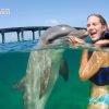 Swim with Dolphins in Punta Cana - immagine 4