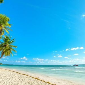 Punta Cana:7 Playas Walking Tour+Casa Tipica Lunch Included
