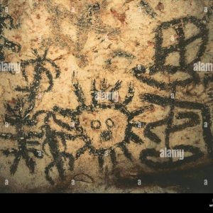 Night ATV Adventures