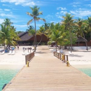 Catalina Island and Snorkeling Tour