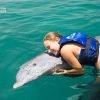 Swim with Dolphins in Punta Cana - immagine 6