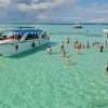 Tour to Saona Island by Catamaran with Lunch, Bar and Transportation Included - immagine 2