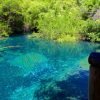 Swim Horse fom Punta Cana - immagine 2