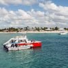 The Catalina Island Experience - immagine 11
