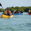 Miches: Los Haitises Kayak & Picinas Caño Hondo - Image 3