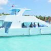 Whale Watching + Cayo Levantado Freedom - Afbeelding 2