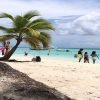 Saona Island Tour All Inclusive Speedboat and Catamaran - immagine 12