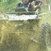 Tour in buggy half-day and beach cenote :Punta Cana - immagine 3