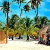 Bavaro: Saona Island VIP Speedboat Tour with Open Bar - Afbeelding 9