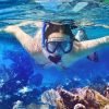Saona Island Tour from Santo Domingo - immagine 4