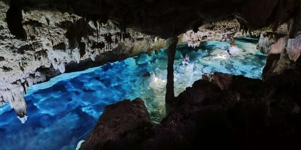 Bayahibe: National Park Jungle Walk & Snorkeling in Cenotes