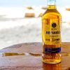 From Punta Cana: Saona Island Cruise with Private Beach – Image 5