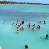 Saona Island Tour from Santo Domingo - immagine 5