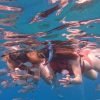 Sosua Sunset party boat And Snorkeling - immagine 4