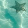 Saona Island Tour All Inclusive Speedboat and Catamaran - immagine 7