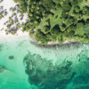 Whale Watching + Cayo Levantado Freedom - Afbeelding 13