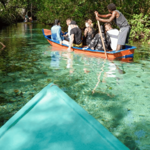 Samana: Full day Samana Amazing tour Punta Cana