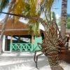 From La Romana: Saona Island for Costa Cruises Passengers - Afbeelding 8