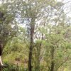 Puerto Plata ATV N Zip Adventure | Shore Excursion & Hotel – Image 8