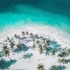 Whale Watching and Cayo Levantado Tour: A Perfect Tropical Getaway - Image 17