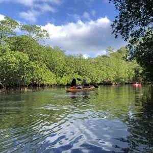 Miches: Los Haitises Kayak & Picinas Caño Hondo