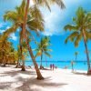 Saona Island Snorkeling, Catamaran and Lunch on the Beach – Image 3